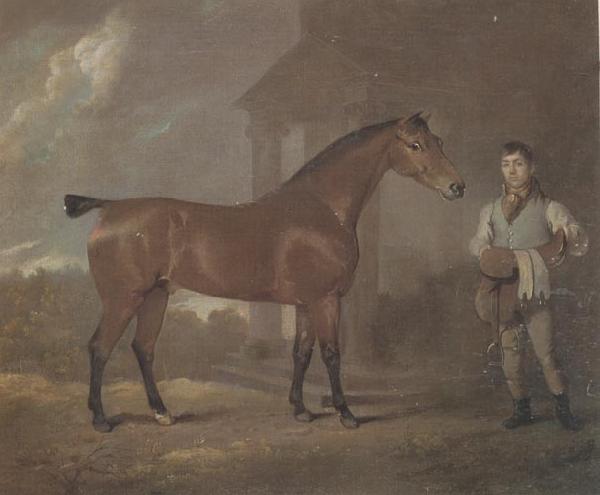 David Dalby The Racehorse 'Woodpecker' in a stall oil painting picture